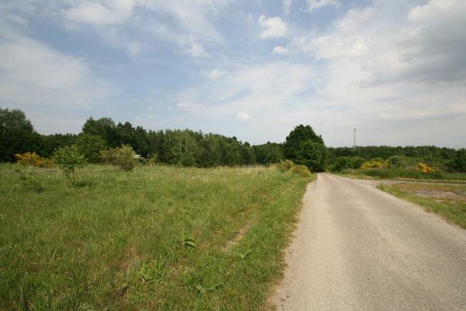 Działka Niedalino gm. Świeszyno, Niedalino