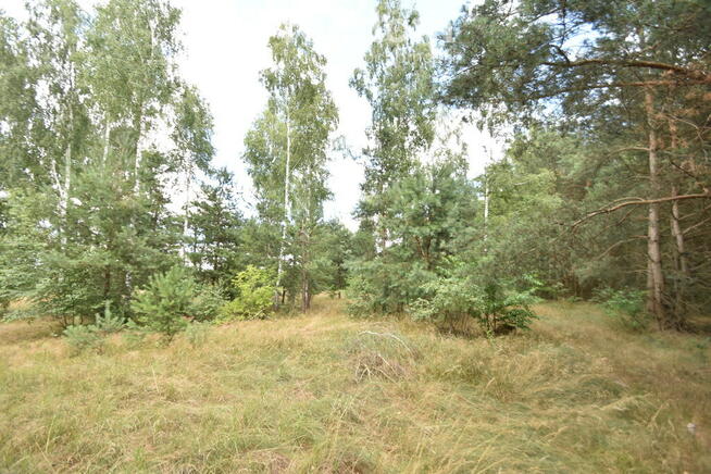 Działki rolne na sprzedaż.