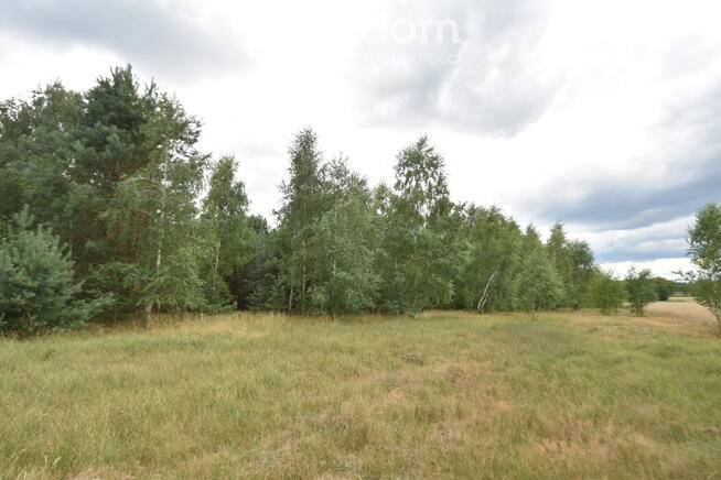 Działki rolne na sprzedaż.