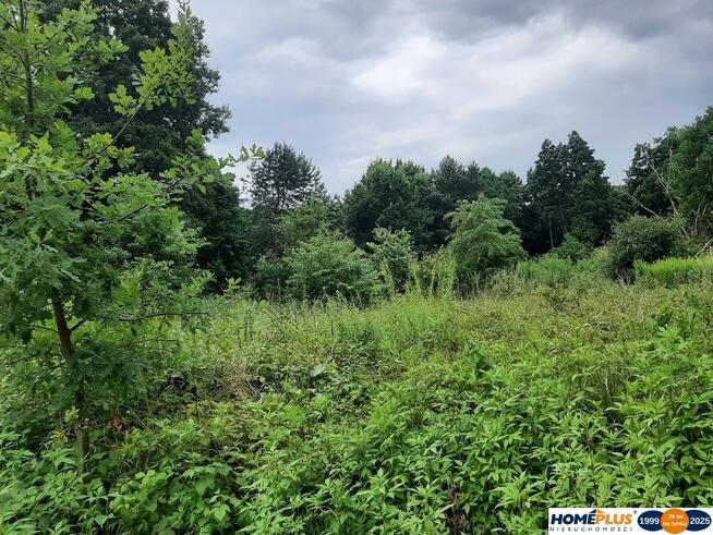 Działka o pow. 25 000 m² pod zabudowę i rekreację.