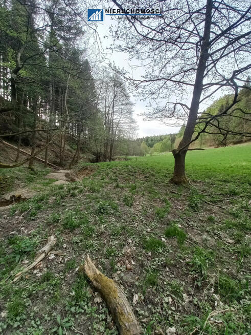 Działka budowlana Duszniki-Zdrój Podgórze,