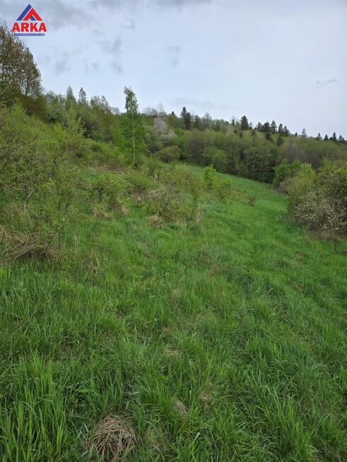 Działka rolna Podobin gm. Niedźwiedź