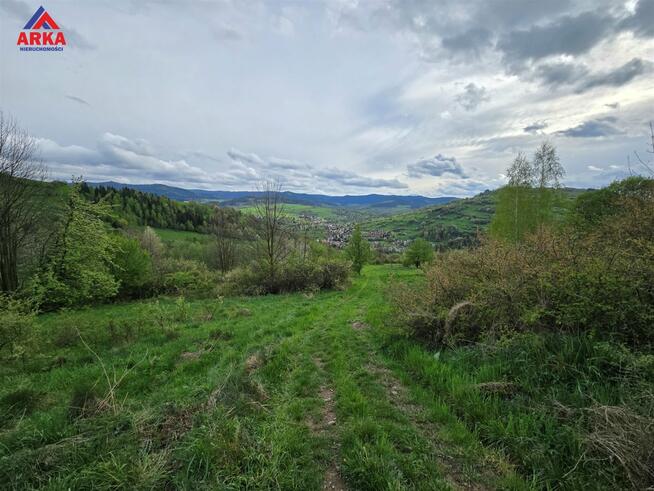 Działka rolna Podobin gm. Niedźwiedź