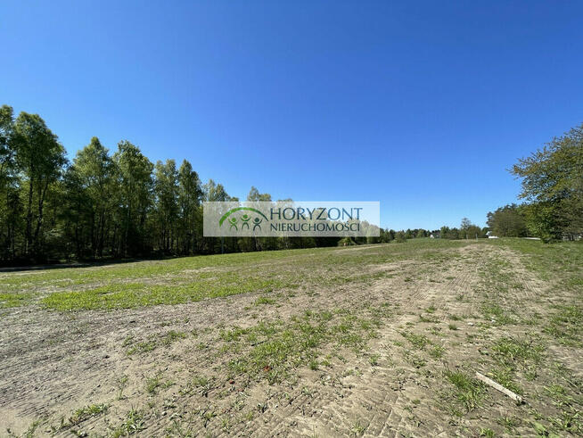 Kamień- kompleks działek przy lesie