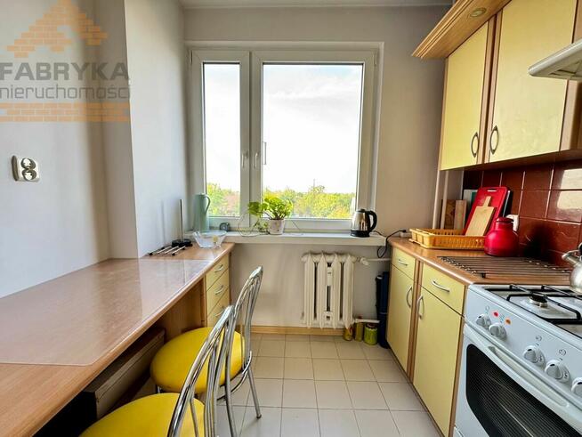 Mieszkanie Pabianice