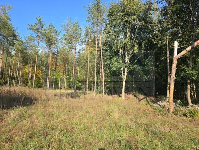 Działka budowlana Rydzewo gm. Miłki, Mazurska