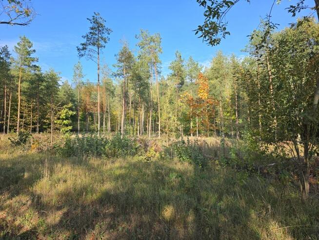 Działka budowlana Rydzewo gm. Miłki, Mazurska