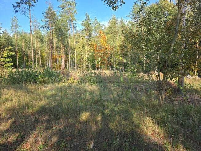 Działka budowlana Rydzewo gm. Miłki, Mazurska