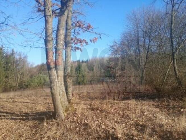 Działka rekreacyjna Konopki Wielkie gm. Miłki