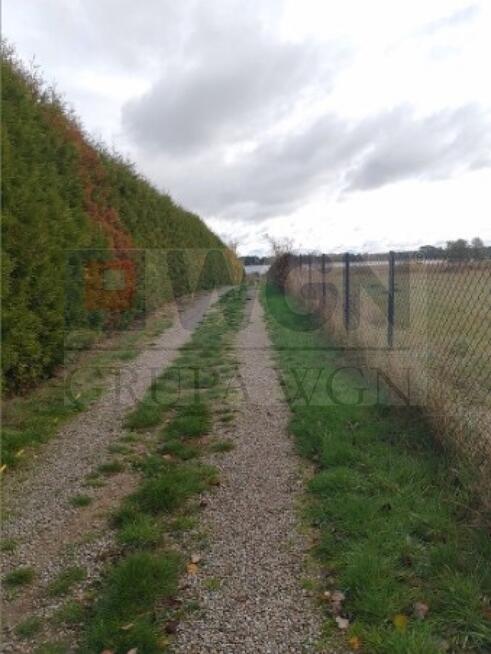 Działka budowlana KALINOWO gm. Giżycko