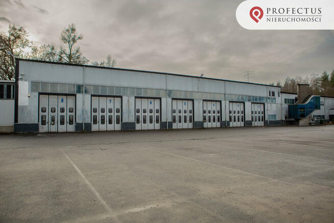 Lokal użytkowy Straszyn gm. Pruszcz Gdański