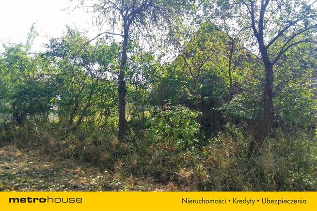 Działka siedliskowa z domem o powierzchni 57 arów