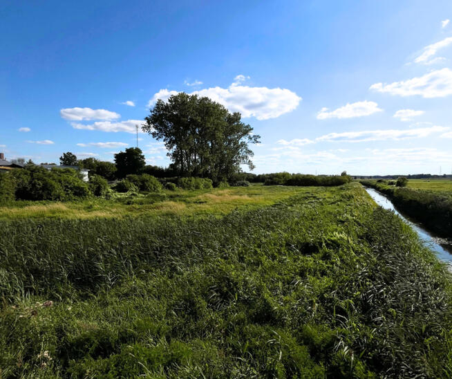 Grunt rolny 7239 m², Łosice, ul. Myśliwska