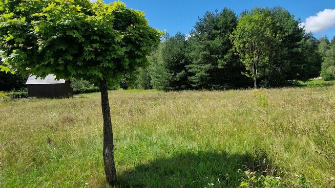 Działka budowlana Słójka gm. Szudziałowo Dziewiczy Ług,
