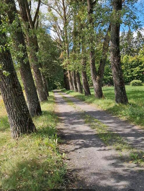 Działka budowlana Słójka gm. Szudziałowo Dziewiczy Ług,