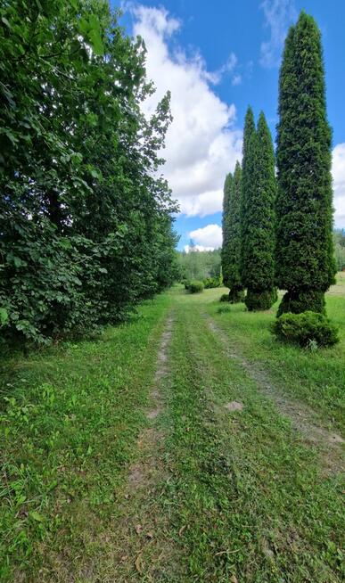 Działka budowlana Słójka gm. Szudziałowo Dziewiczy Ług,