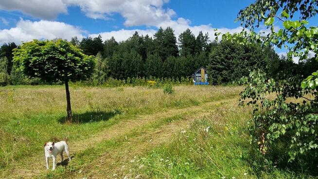 Działka budowlana Słójka gm. Szudziałowo Dziewiczy Ług,