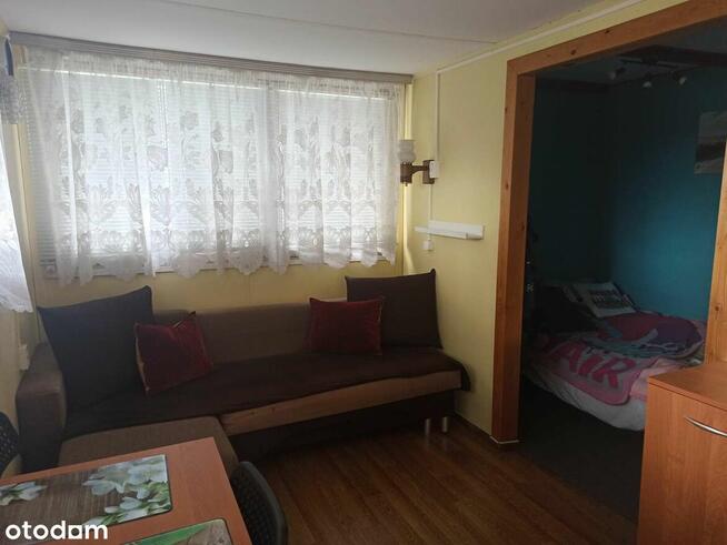 Na sprzedaż działka ROD z domkiem – gotowa do wypoczynku!