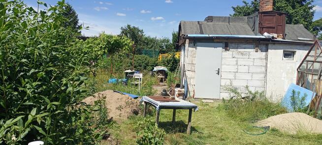 działka ROD 300m2 z domkiem murowanym Stoczniowiec Toruń