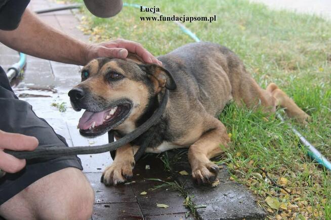 Łucja szuka rodziny