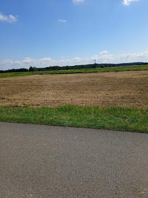 Sprzedam działkę Wz Basznia Dolna