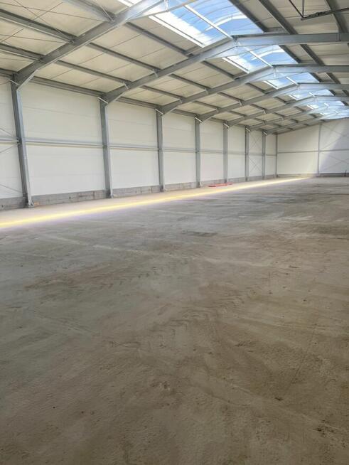 wynajmę halę z biurem razem 1300m2 w dobrym miejscu