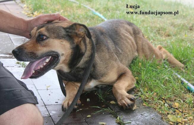 Łucja szuka rodziny