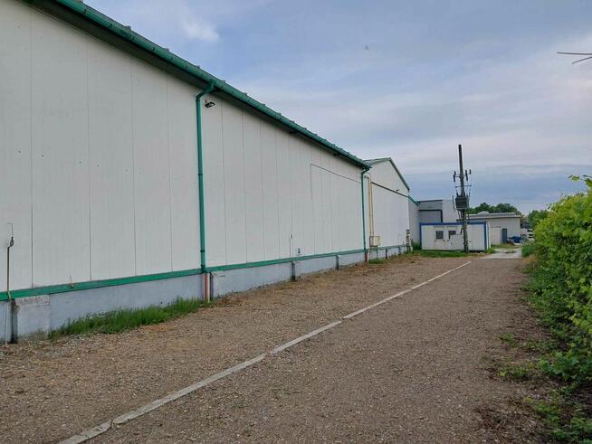 Hala Magazyn, Al 29 listopada/Węgrzce Bezpośrednio 60m2