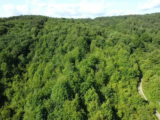 Działka rolno - leśna położona w miejscowości Pisarowce