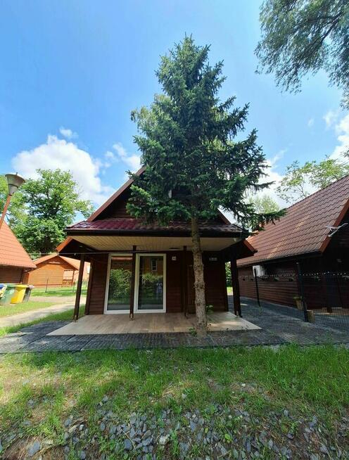 Noclegi Pokrzywna Wynajem Domek Letniskowy w Górach Opawskich