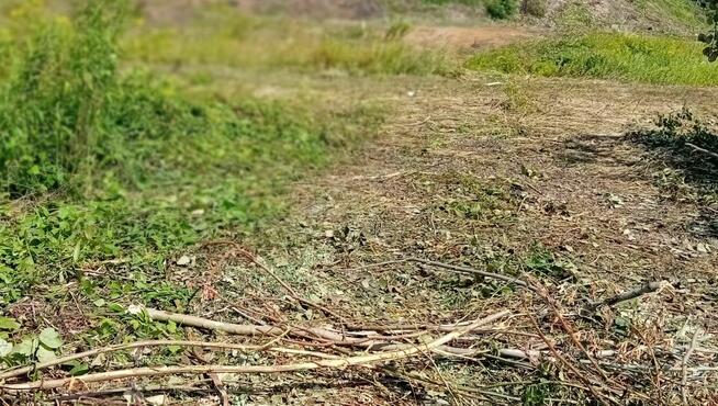 LOGISTYKA, SKŁADY MAGAZYNY, PRODUKCJA