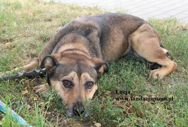 Łucja szuka rodziny