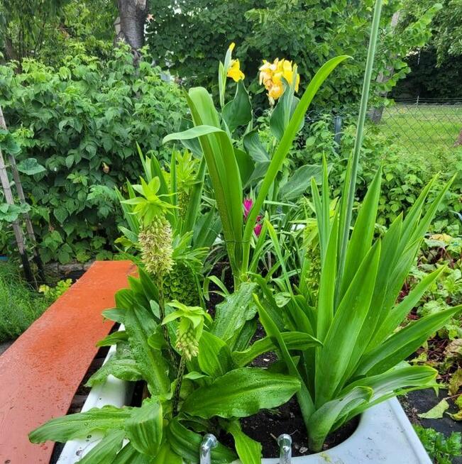 Działka rekreacyjna