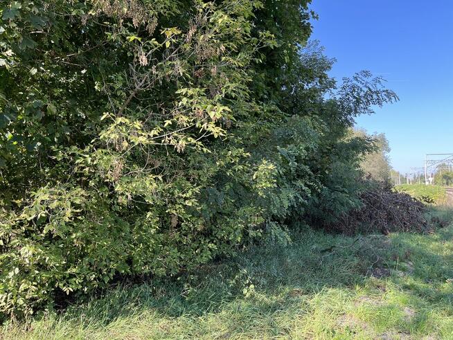 Działka rolna - Trawniki Kolonia, pow. świdnicki, lubelskie