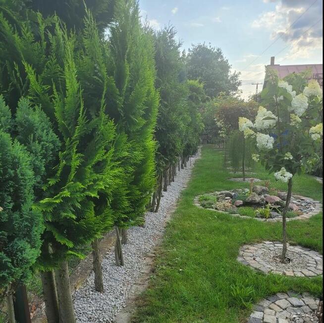 Działka rekreacyjna