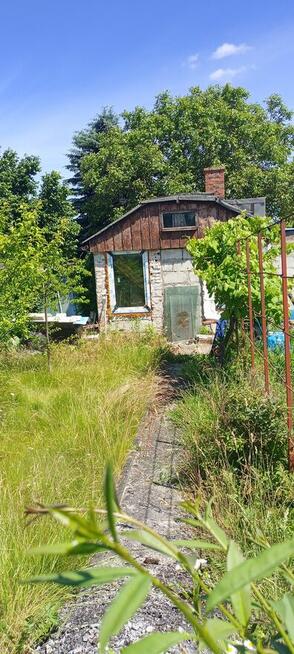 dziaka ROD 300m2 z domkiem murowanym Stoczniowiec Toruń