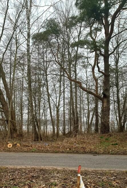 Sprzedam działkę, jezioro, pomost, dostęp