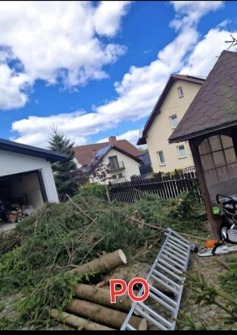 Koszenie traw, wycinka drzew, skracanie żywopłotu!