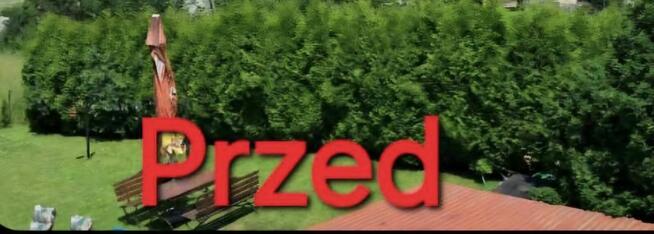 Koszenie traw, wycinka drzew, skracanie żywopłotu!