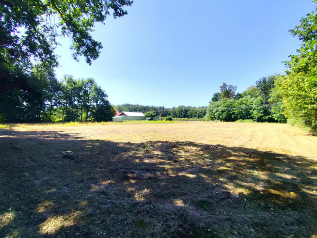 Działka budowlana blisko Kazimierza Dolnego i Mięćmierza