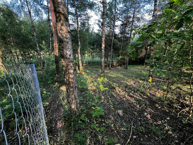 Działka rekreacyjna nad jeziorem (sprzedam lub zamienię)