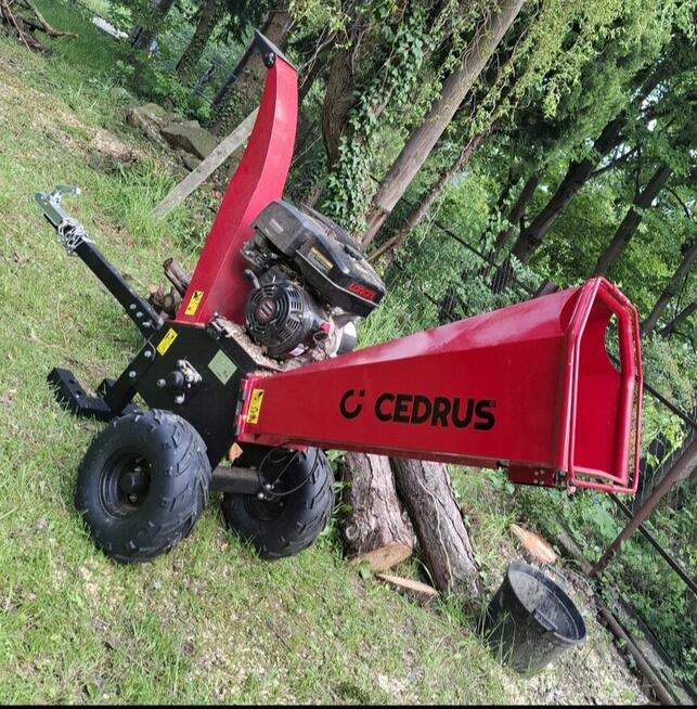 Koszenie traw, wycinka drzew, skracanie żywopłotu!