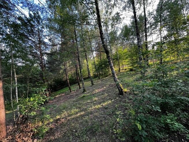 Działka rekreacyjna nad jeziorem (sprzedam lub zamienię)