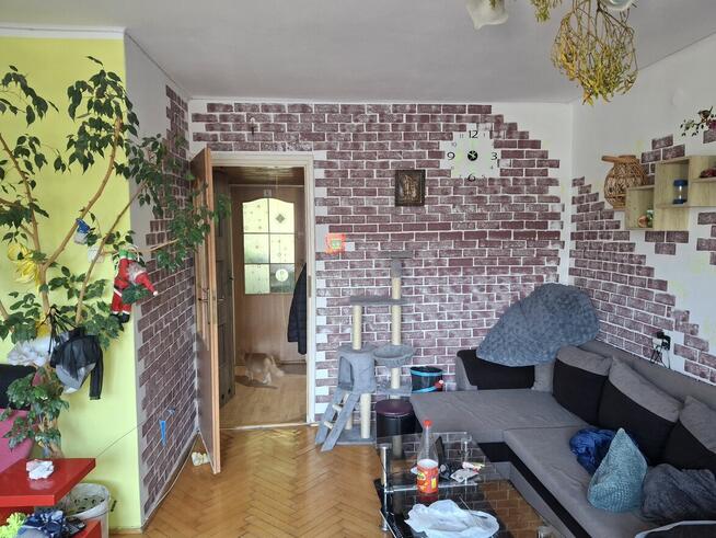 Mieszkanie na sprzedaż bądź zamiany