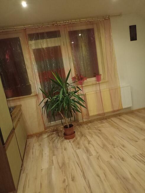 Dom wolnostojący na sprzedaż lub zamiana na mniejsze z dopła