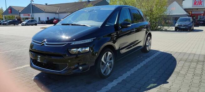 Sprzedam Moją Cytrynkę