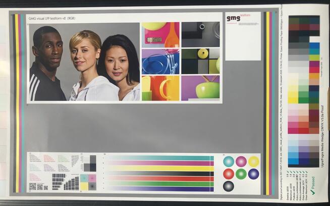 ProofMaster licencja wieczysta perpetual EPSON SC-S80600