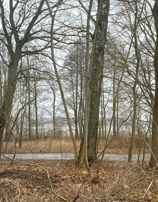 Sprzedam działkę, jezioro, pomost, dostęp