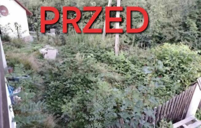 Koszenie traw, wycinka drzew, skracanie żywopłotu!