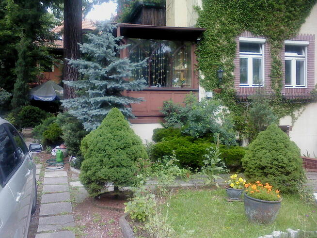 Pokój w willi dla samotnej osoby